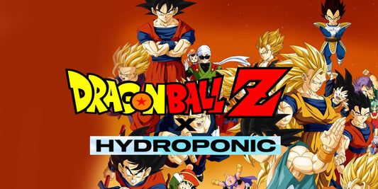 Fiesta de presentación Hydroponic x Dragon Ball Z en Spot10