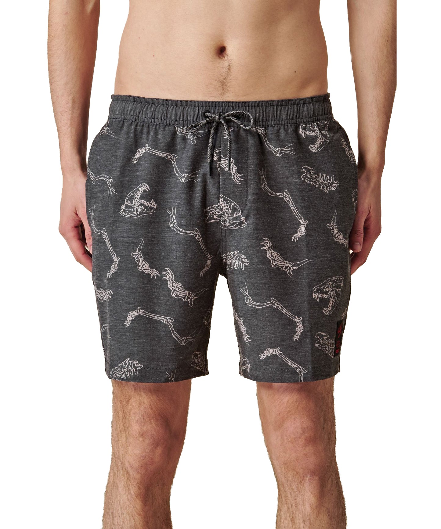 globe-bañador-dion angus-grey-pantalon de playa color gris-cintura elástica con cordón-mezcla algodón y poliéster-estampado d e-dinosaurio-reciclado.